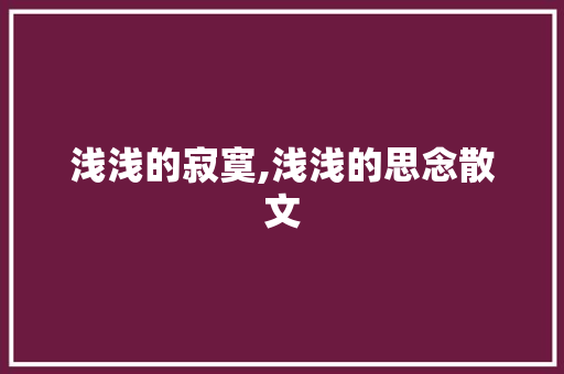 浅浅的寂寞,浅浅的思念散文 写作素材
