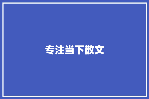 专注当下散文 报告写作