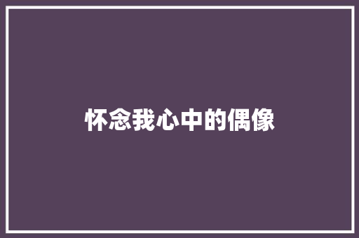 怀念我心中的偶像 词汇积累