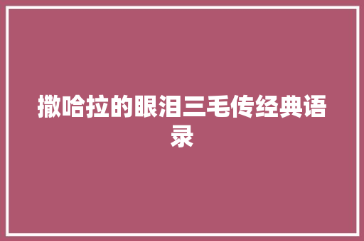 撒哈拉的眼泪三毛传经典语录