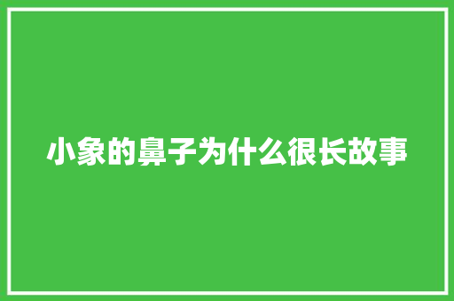 小象的鼻子为什么很长故事 词汇积累