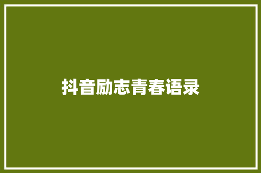 抖音励志青春语录 词汇积累