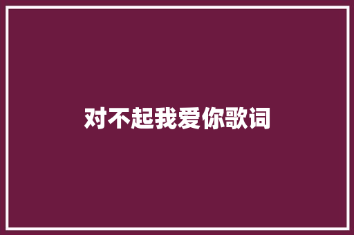 对不起我爱你歌词 报告写作