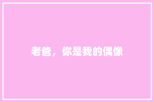 老爸，你是我的偶像