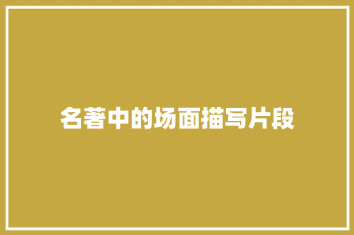 名著中的场面描写片段 写作素材