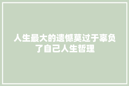 人生最大的遗憾莫过于辜负了自己人生哲理 词汇积累