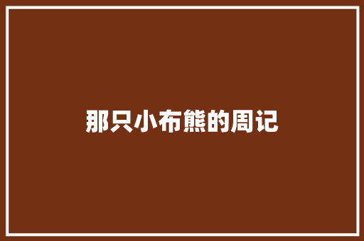 那只小布熊的周记