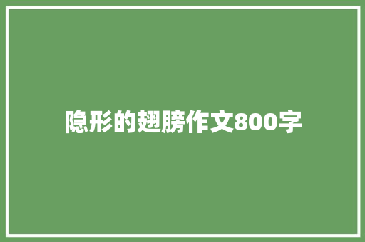 隐形的翅膀作文800字 写作素材