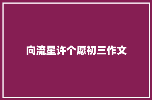 向流星许个愿初三作文 写作社区