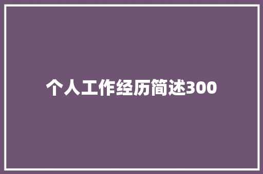 个人工作经历简述300
