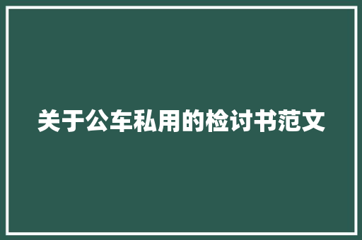 关于公车私用的检讨书范文 简历模板