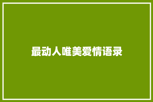 最动人唯美爱情语录 报告写作
