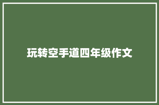 玩转空手道四年级作文 商业文案