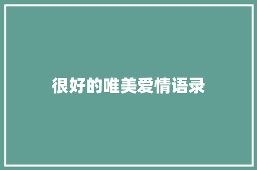 很好的唯美爱情语录 词汇积累