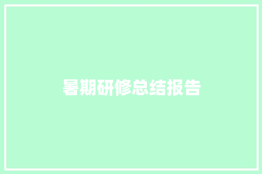 暑期研修总结报告