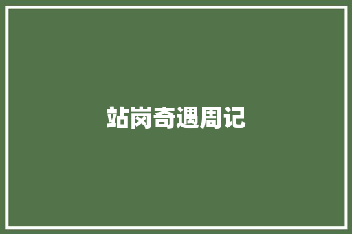 站岗奇遇周记 写作技巧