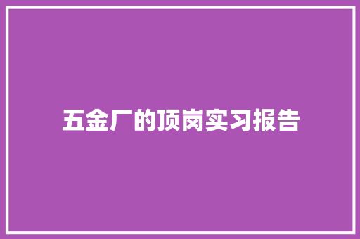 五金厂的顶岗实习报告 词汇积累