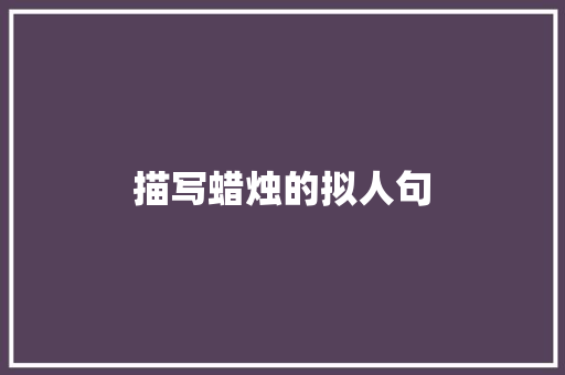 描写蜡烛的拟人句 简历模板