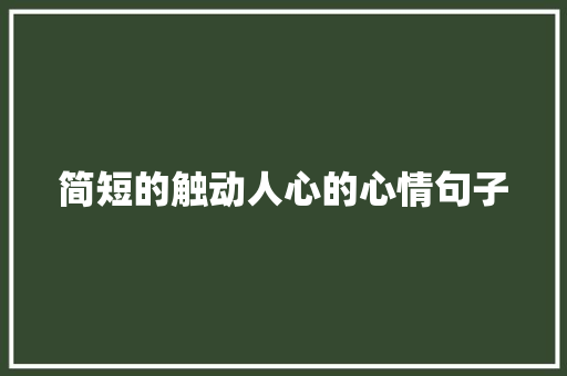 简短的触动人心的心情句子 写作社区