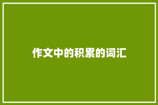 作文中的积累的词汇