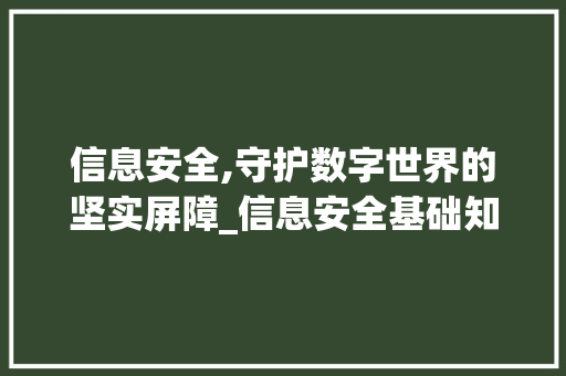 信息安全,守护数字世界的坚实屏障_信息安全基础知识