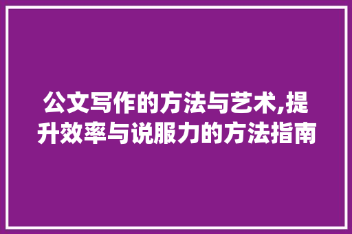公文写作的方法与艺术,提升效率与说服力的方法指南_公文写作怎么练 词汇积累