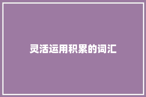 灵活运用积累的词汇 写作技巧