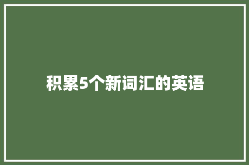 积累5个新词汇的英语