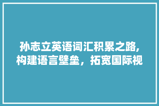 孙志立英语词汇积累之路,构建语言壁垒，拓宽国际视野_孙志立英语词汇积累