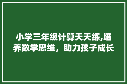 小学三年级计算天天练,培养数学思维，助力孩子成长_小学三年级计算天天练参考答案