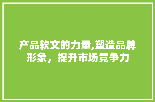 产品软文的力量,塑造品牌形象，提升市场竞争力