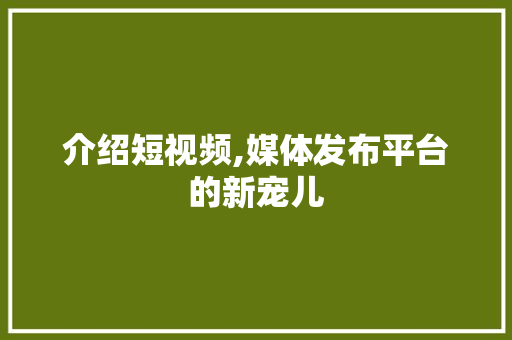介绍短视频,媒体发布平台的新宠儿 简历模板