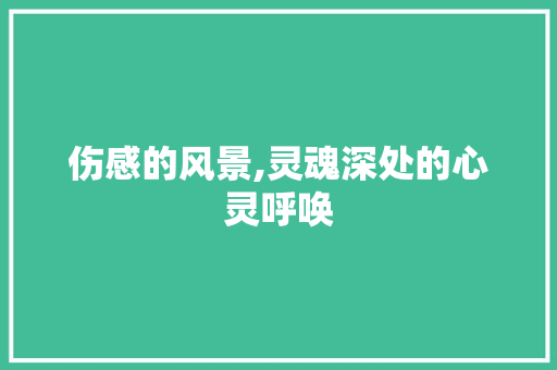 伤感的风景,灵魂深处的心灵呼唤