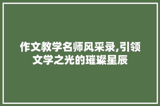 作文教学名师风采录,引领文学之光的璀璨星辰