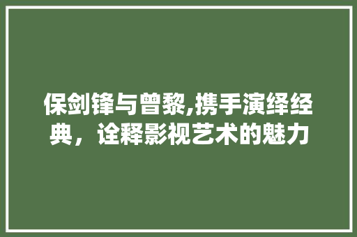 保剑锋与曾黎,携手演绎经典，诠释影视艺术的魅力
