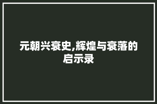 元朝兴衰史,辉煌与衰落的启示录 报告写作