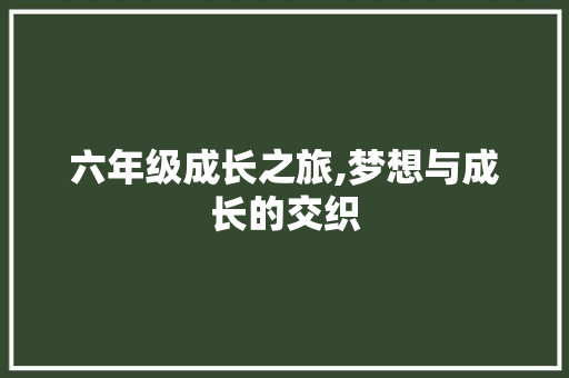 六年级成长之旅,梦想与成长的交织
