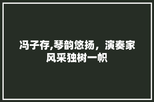 冯子存,琴韵悠扬，演奏家风采独树一帜