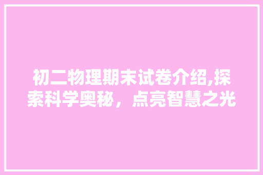 初二物理期末试卷介绍,探索科学奥秘，点亮智慧之光