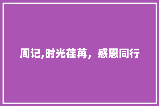 周记,时光荏苒，感恩同行