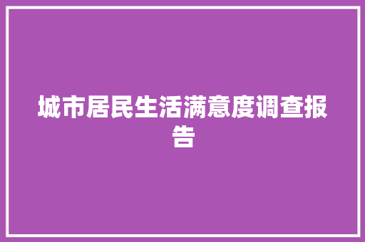 城市居民生活满意度调查报告 报告写作