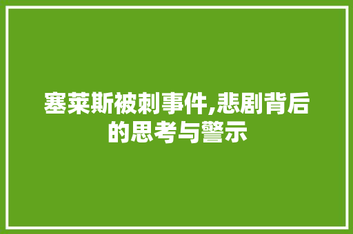 塞莱斯被刺事件,悲剧背后的思考与警示