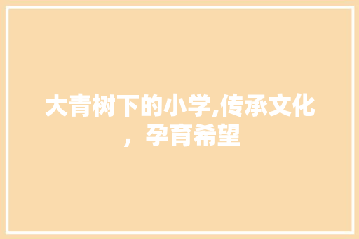 大青树下的小学,传承文化，孕育希望