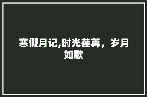 寒假月记,时光荏苒，岁月如歌