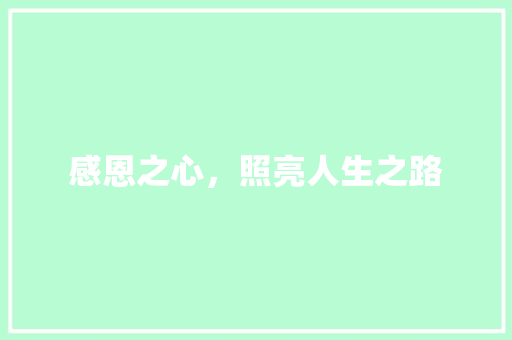 感恩之心，照亮人生之路