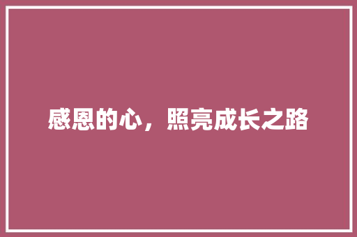 感恩的心，照亮成长之路