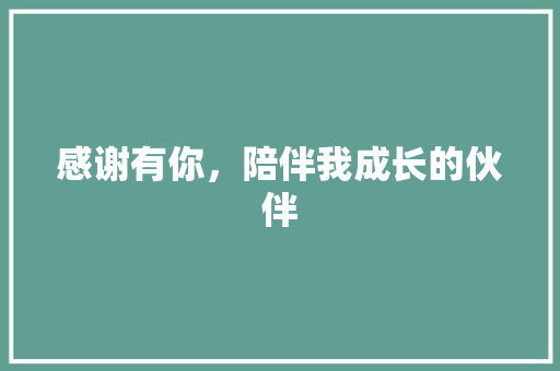 感谢有你，陪伴我成长的伙伴