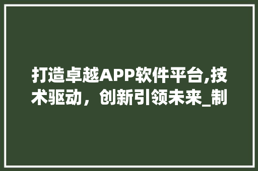打造卓越APP软件平台,技术驱动，创新引领未来_制作app软件平台 简历模板