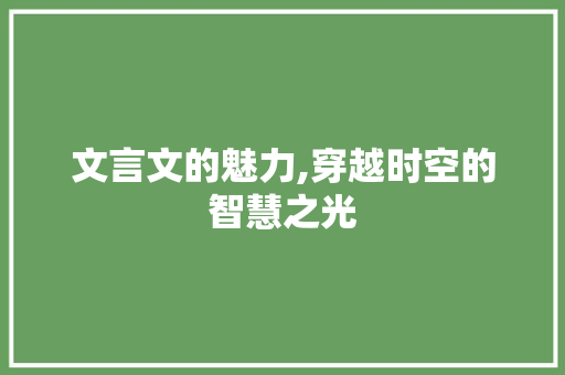 文言文的魅力,穿越时空的智慧之光
