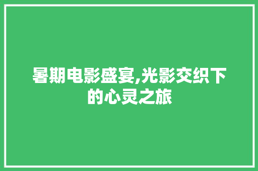 暑期电影盛宴,光影交织下的心灵之旅